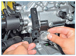 Stepway 175-2.jpg