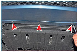 Stepway 288-2.jpg