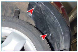 Stepway 290-2.jpg