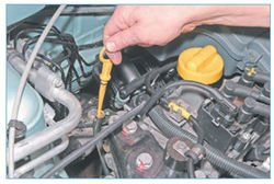 Stepway 31-1.jpg