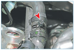 Stepway 39-4.jpg