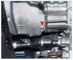 Stepway 40-4.jpg