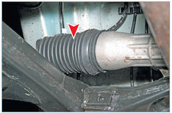 Stepway 55-5.jpg