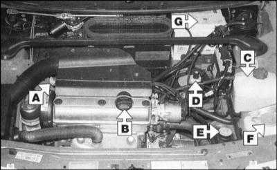 3.1 Еженедельные проверки Skoda Felicia