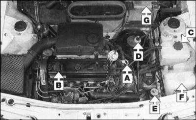 3.1 Еженедельные проверки Skoda Felicia