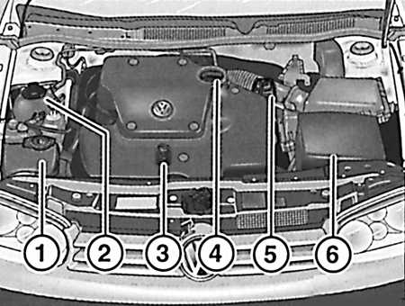 1.2.7 Места еженедельных проверок Volkswagen Golf IV