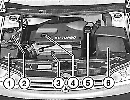 1.2.7 Места еженедельных проверок Volkswagen Golf IV
